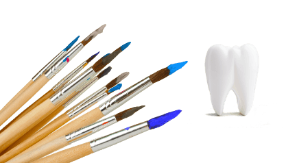 Several paintbrushes next to model of tooth